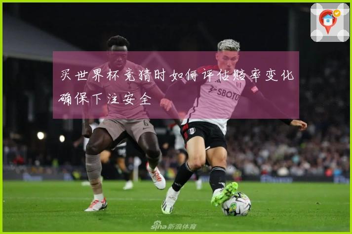 买世界杯竞猜时如何评估赔率变化确保下注安全