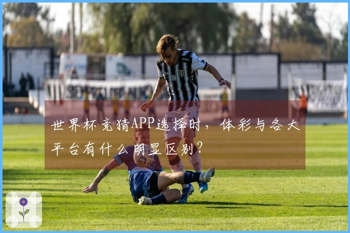 世界杯竞猜APP选择时，体彩与各大平台有什么明显区别？