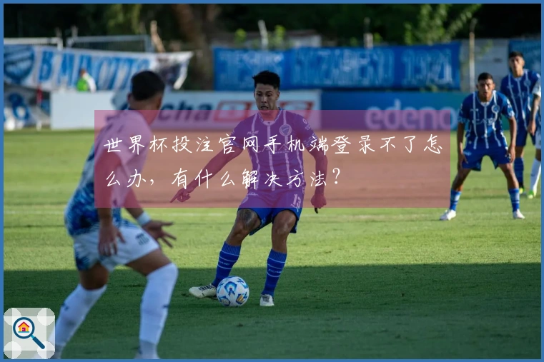 世界杯投注官网手机端登录不了怎么办，有什么解决方法？