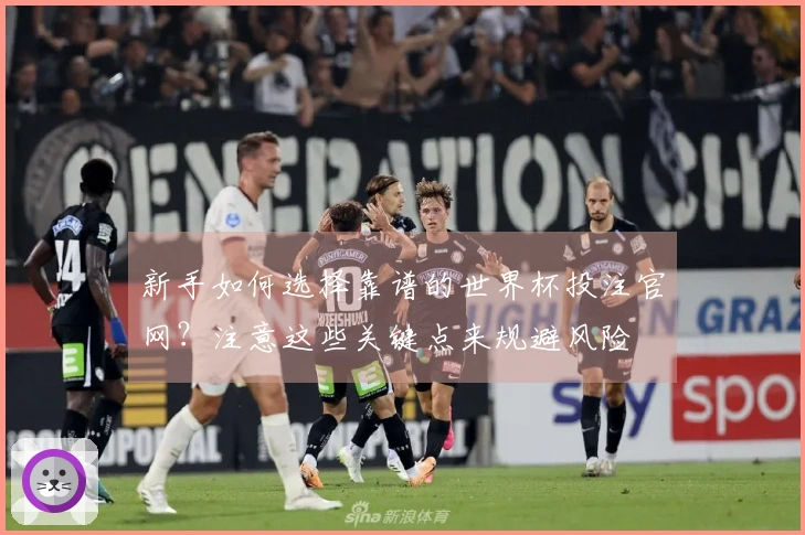 新手如何选择靠谱的世界杯投注官网？注意这些关键点来规避风险
