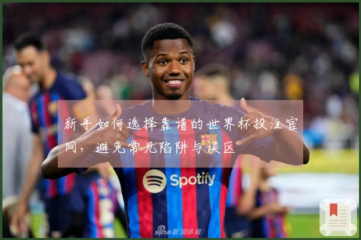 新手如何选择靠谱的世界杯投注官网，避免常见陷阱与误区