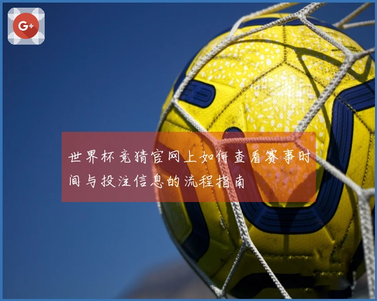 世界杯竞猜官网上如何查看赛事时间与投注信息的流程指南