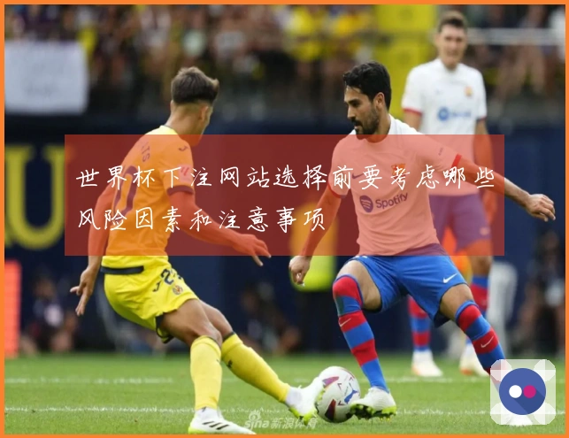 世界杯下注网站选择前要考虑哪些风险因素和注意事项