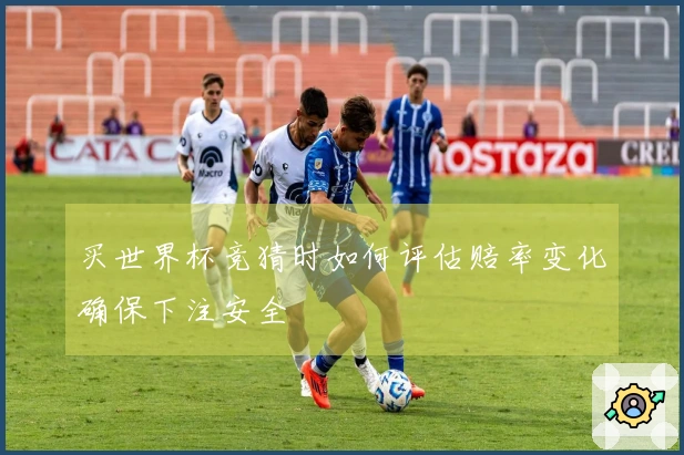 买世界杯竞猜时如何评估赔率变化确保下注安全