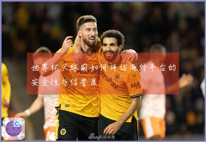 世界杯买球前如何评估海外平台的安全性与信誉度