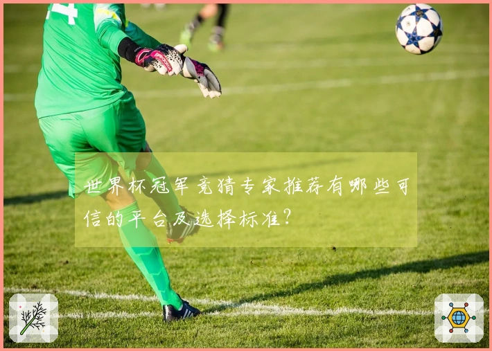 世界杯冠军竞猜专家推荐有哪些可信的平台及选择标准？