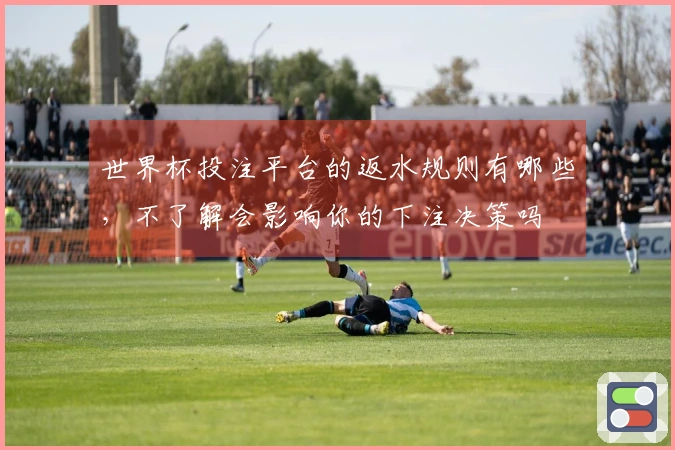 世界杯投注平台的返水规则有哪些，不了解会影响你的下注决策吗