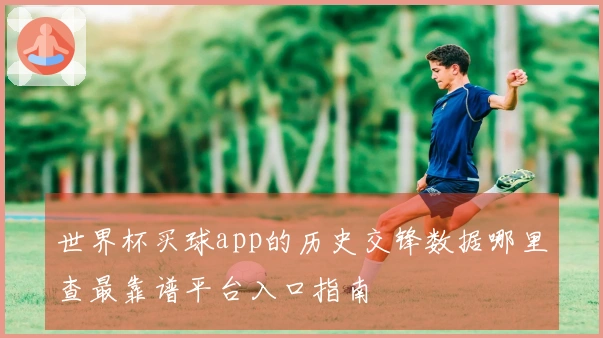 世界杯买球app的历史交锋数据哪里查最靠谱平台入口指南