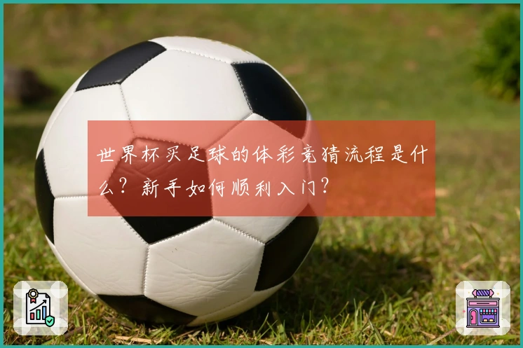 世界杯买足球的体彩竞猜流程是什么？新手如何顺利入门？