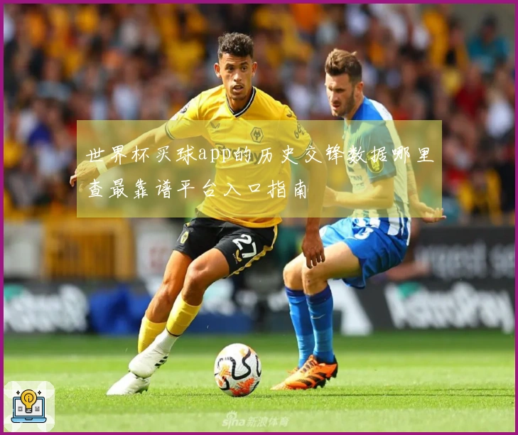 世界杯买球app的历史交锋数据哪里查最靠谱平台入口指南