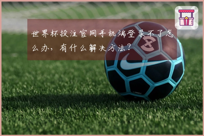 世界杯投注官网手机端登录不了怎么办，有什么解决方法？