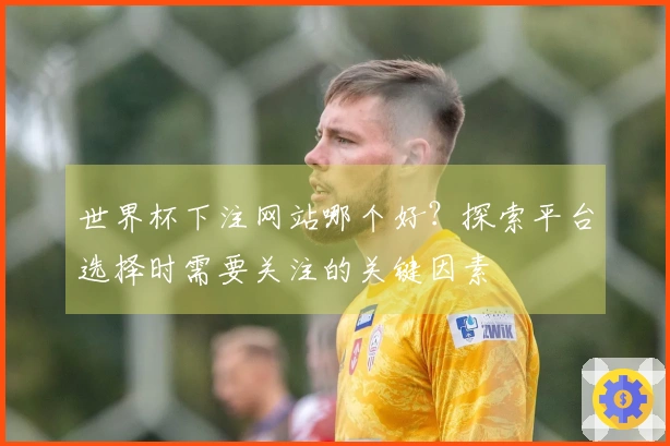 世界杯下注网站哪个好？探索平台选择时需要关注的关键因素