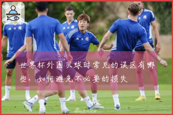 世界杯外围买球时常见的误区有哪些，如何避免不必要的损失