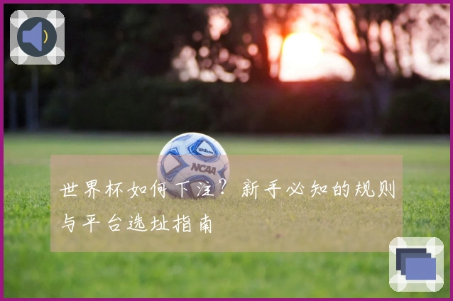 世界杯如何下注？新手必知的规则与平台选址指南