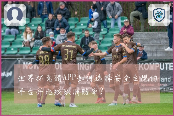 世界杯竞猜APP如何选择安全合规的平台并比较欧洲赔率？