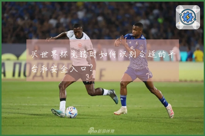 买世界杯竞猜时如何识别合适的平台和安全入口？