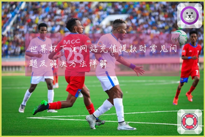世界杯下注网站充值提款时常见问题及解决方法详解