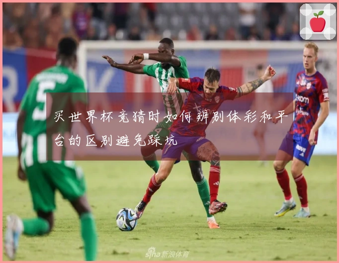 买世界杯竞猜时如何辨别体彩和平台的区别避免踩坑