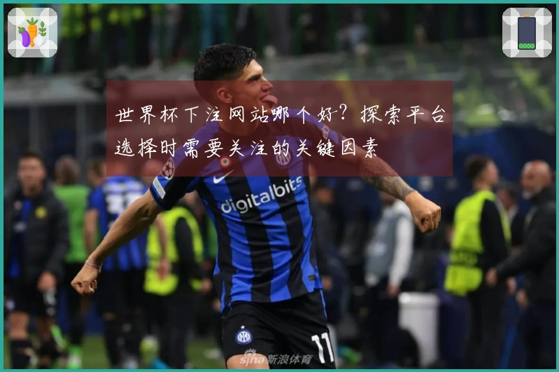 世界杯下注网站哪个好？探索平台选择时需要关注的关键因素