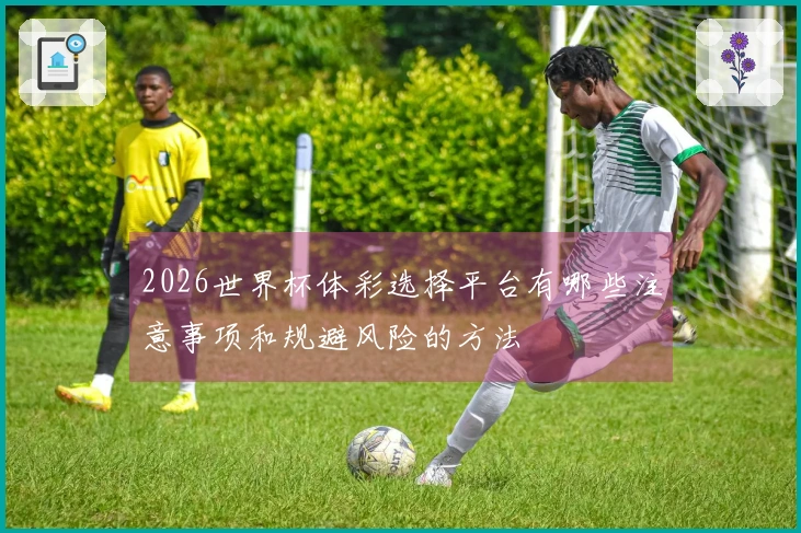 2026世界杯体彩选择平台有哪些注意事项和规避风险的方法