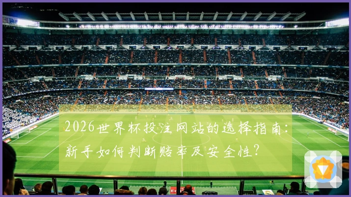 2026世界杯投注网站的选择指南：新手如何判断赔率及安全性？