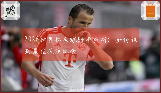 2026世界杯买球赔率分析：如何识别最佳投注机会