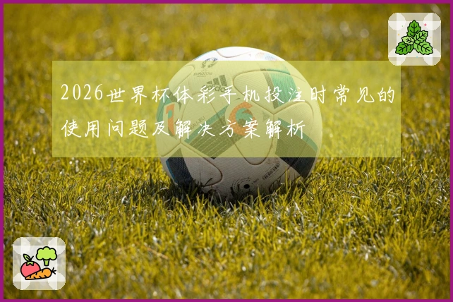 2026世界杯体彩手机投注时常见的使用问题及解决方案解析