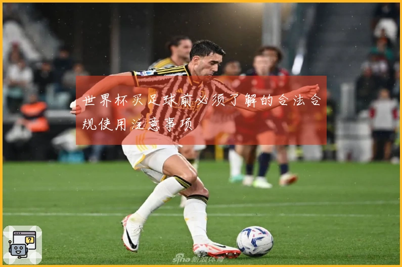 世界杯买足球前必须了解的合法合规使用注意事项