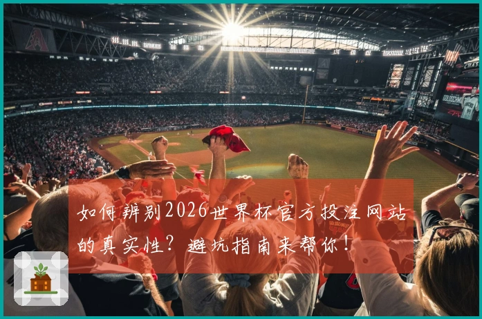 如何辨别2026世界杯官方投注网站的真实性？避坑指南来帮你！