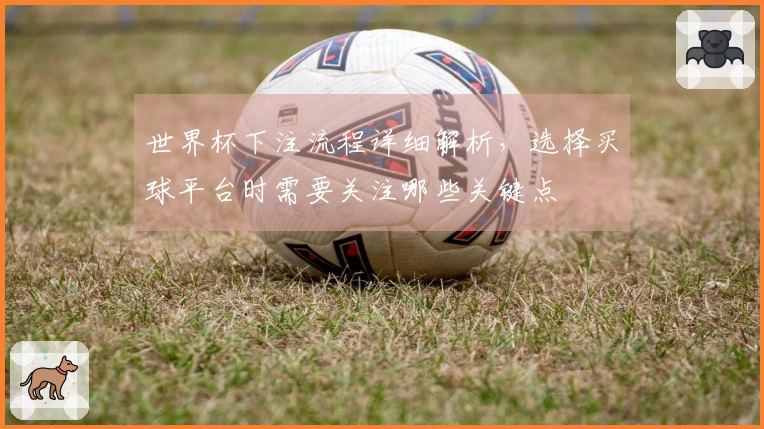 世界杯下注流程详细解析，选择买球平台时需要关注哪些关键点