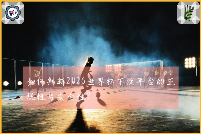 如何判断2026世界杯下注平台的正规性与安全性？